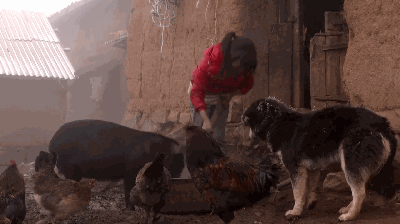 这部纪录片又把人看哭了