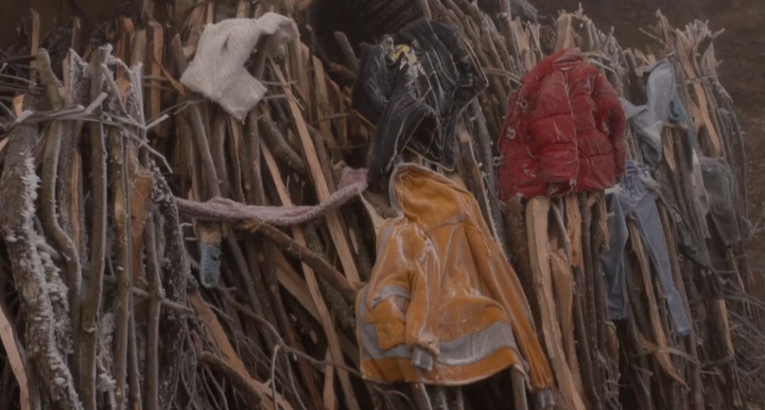 这部纪录片又把人看哭了