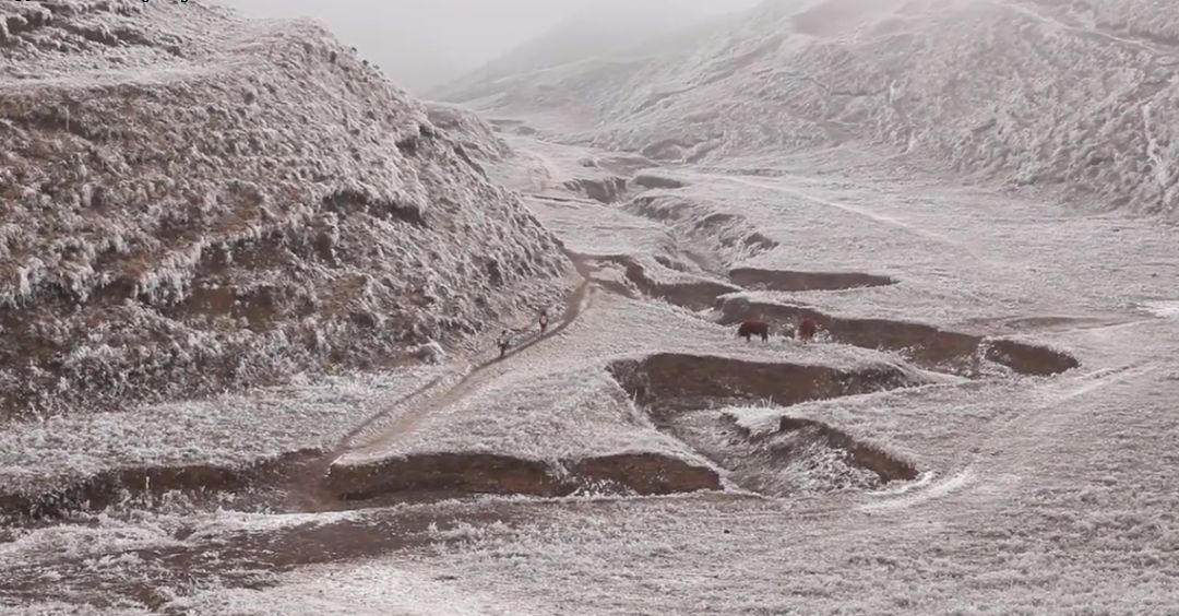 这部纪录片又把人看哭了