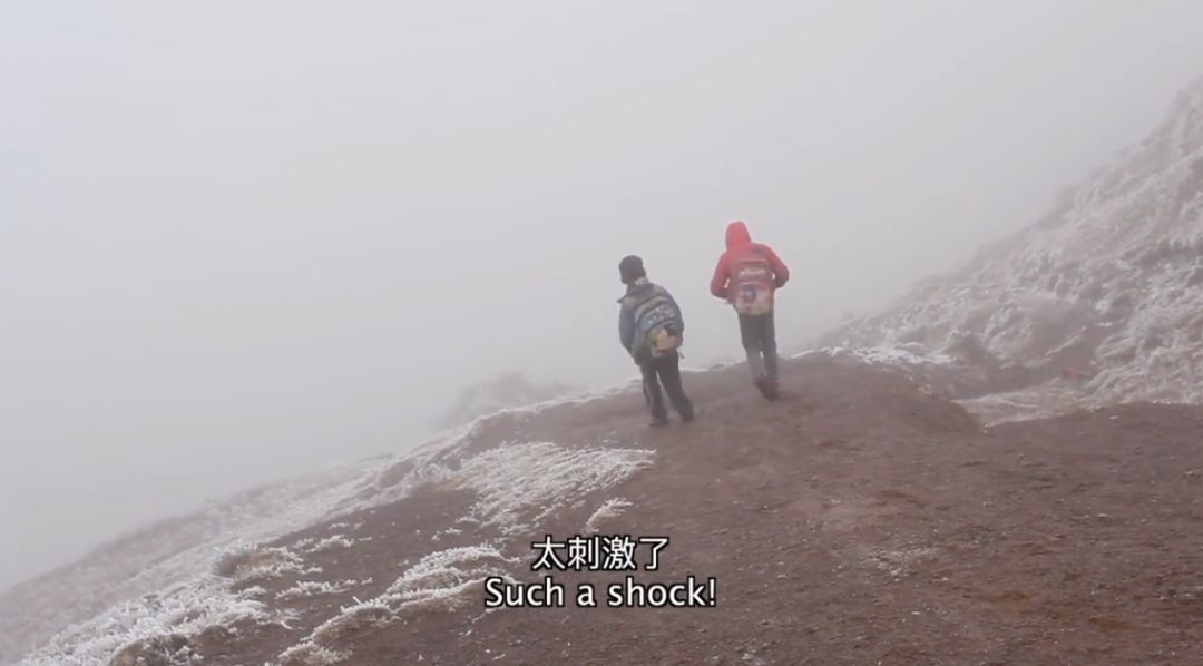 这部纪录片又把人看哭了