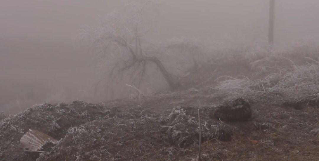 这部纪录片又把人看哭了