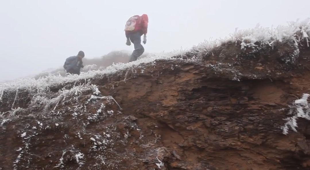 这部纪录片又把人看哭了
