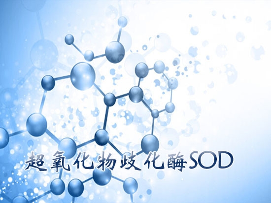 SOD(超氧化物歧化酶)是什么?有什么功效?