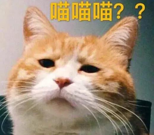 我从这些歌词里，看到了人类复读机的本质