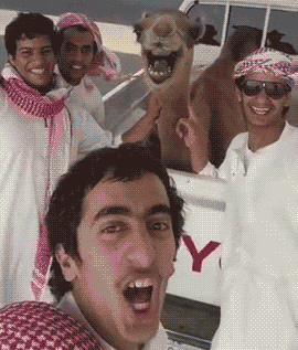 搞笑gif:嗨,美女过来一起吃吗