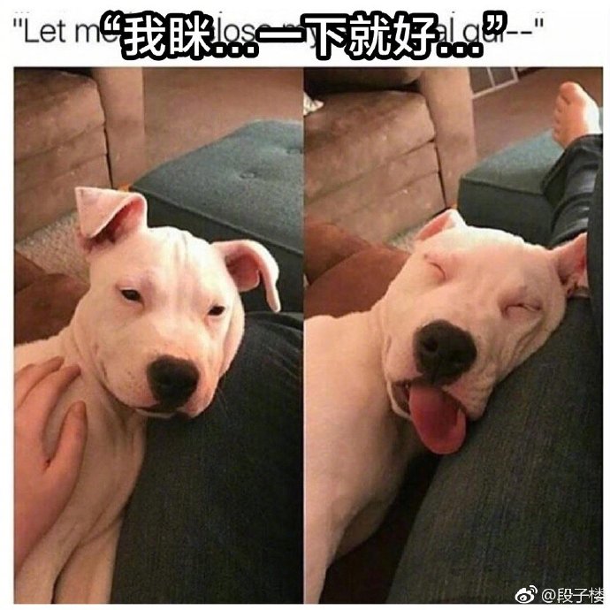 每日神段子丨恨一个人，就送他这件礼物！