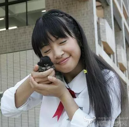 江直树人设崩不崩不知道 林依晨现实生活中真的不是袁湘琴