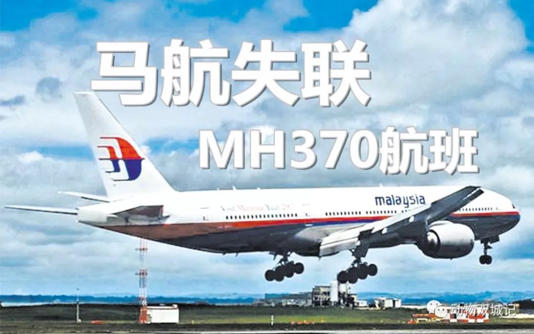 马航mh370真相大白（370飞机视频） 第1张