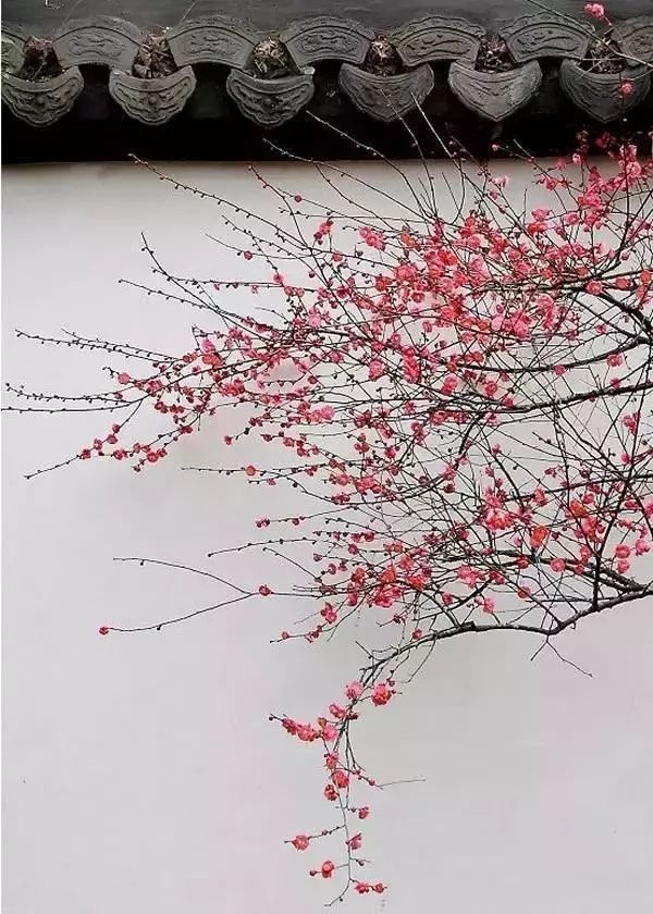 手绘雨的四季画