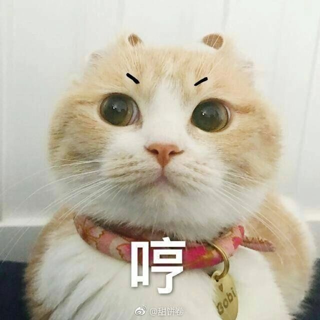 江疏影模仿高圆圆成新一代街拍女王，颧弓宽度也要赶超整前的她？