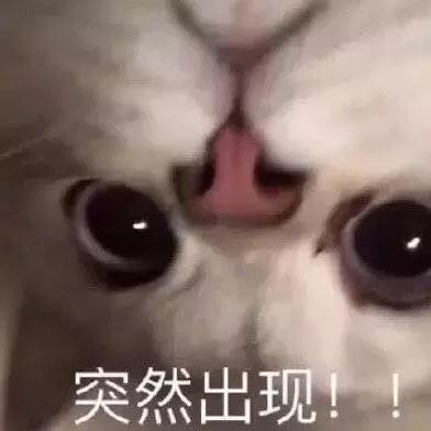 让沈月穿6万块一件的体雕衣？躺着就瘦20斤不是梦！