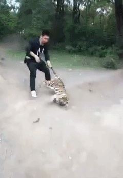 搞笑gif:妹子,你太敬业了吧