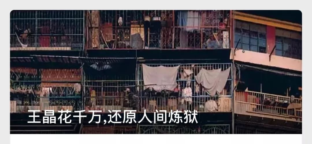 最近的网红圈也太乱了吧