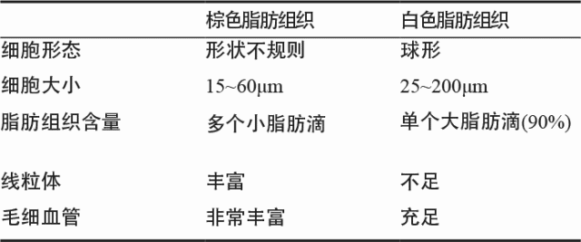 收手吧！李湘把自己裹成女版高晓松，不知道穿得越厚减肥越难？