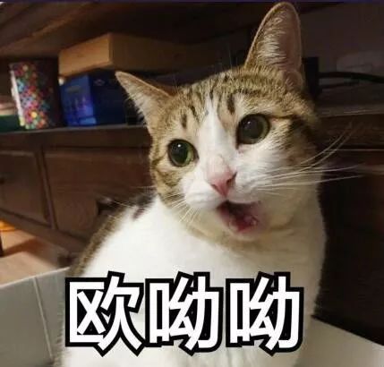 2018流行的4款外套,再不穿就迟啦!