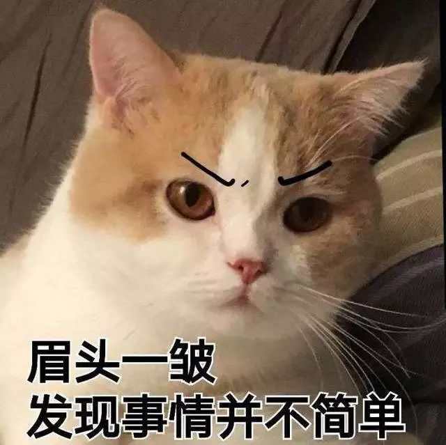闻所未闻的「强迫症」操作，你怕了吗？| 唠氪儿