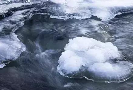 龙泉动物质发电有限公司是不是国企