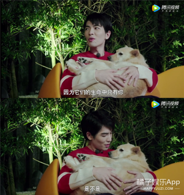 被他和流浪猫狗的故事感动了...