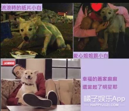 被他和流浪猫狗的故事感动了...