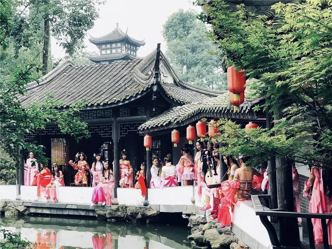 这一年,我用300万步串起了这些街巷,菜市,场镇,博物馆