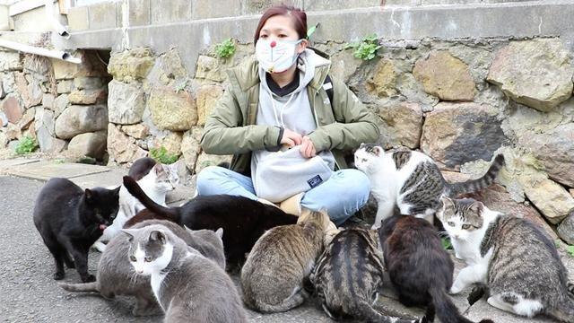 日本猫岛上猫比人多,吸引大量游客前往
