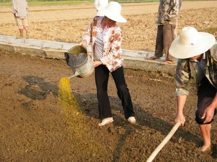 20100514145313993.jpg