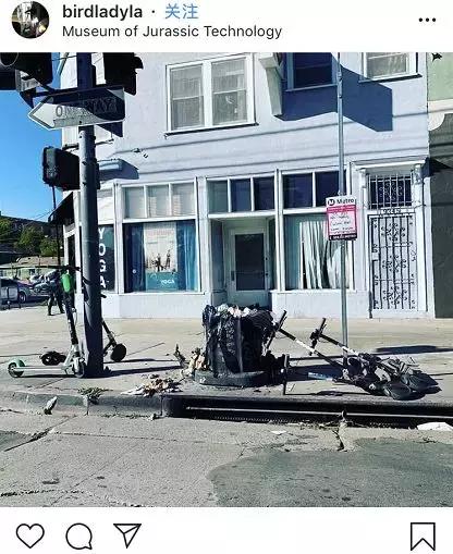 挂在电线杆上的共享单车，成了最疯狂的行为艺术