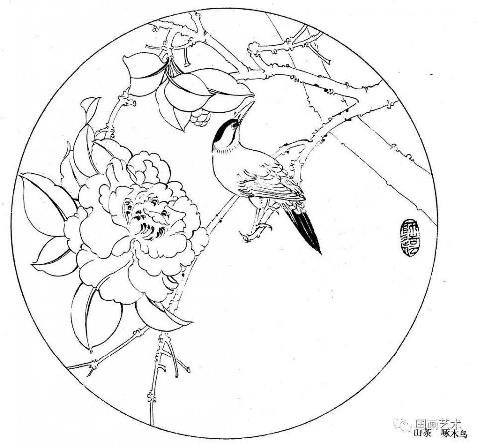 一帘幽梦纯音乐 - 四季怡情轻音乐 春 春日鸟语 分享一组白描花鸟画稿