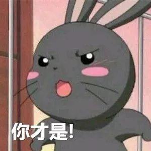 那些信过Refa、蒸脸仪邪的人,来看看你们交了多少智商税!