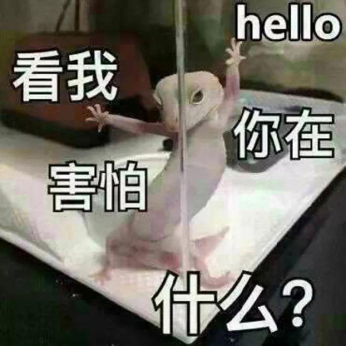 现在的车都能上天了？
