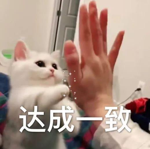婚内出轨后被闺蜜戳破已偷偷怀孕产子，实锤都甩到脸上了还嘴硬？
