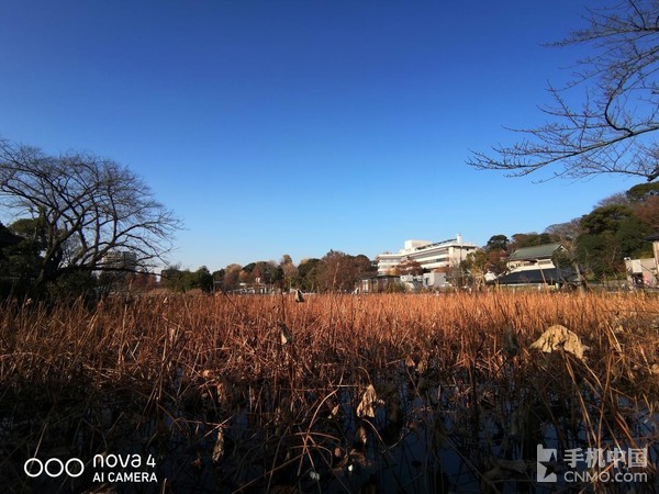 当华为nova4遇见东京：古今交融唯有广角相配