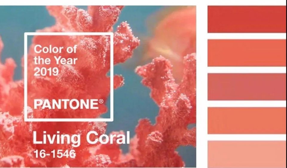 网红色珊瑚橘如何穿搭?这条一定要收藏