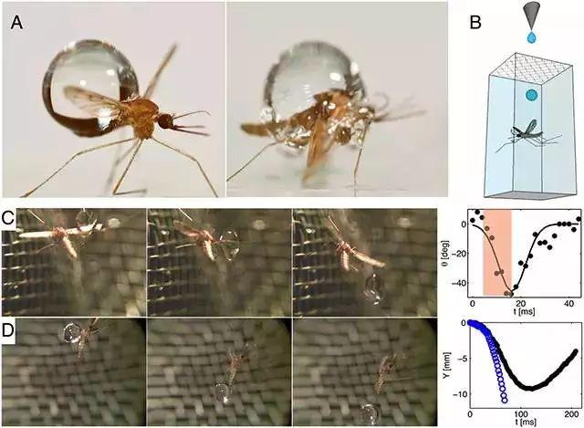 靠搞笑登上《nature》封面，他戴着马桶圈领“诺奖”