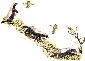 马云这个平头哥太狠了