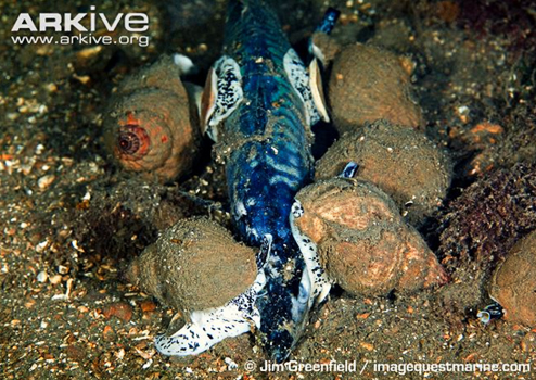 b4f9abb8950e4015b4d59e87efe6c902.jpg b4f9abb8950e4015b4d59e87efe6c902.jpg