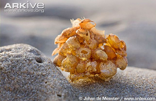 64e851c154e64212b34bc366a229aa2d.jpg 64e851c154e64212b34bc366a229aa2d.jpg