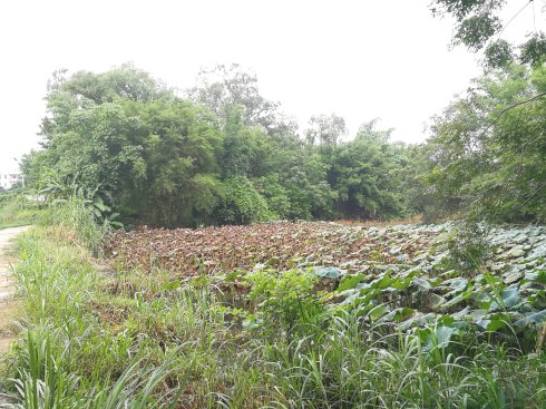 罗定市上宁村格木桥村梁氏始祖及发源地