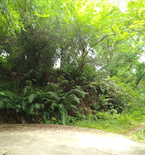 罗定市上宁村格木桥村梁氏始祖及发源地