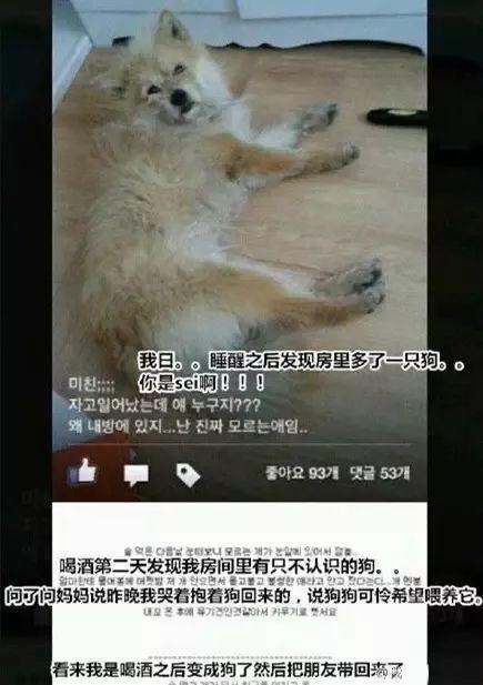 “你在喝醉后都做过哪些糗事？”这些答案亮了