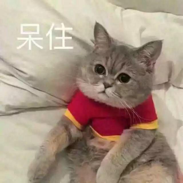 “你在喝醉后都做过哪些糗事？”这些答案亮了