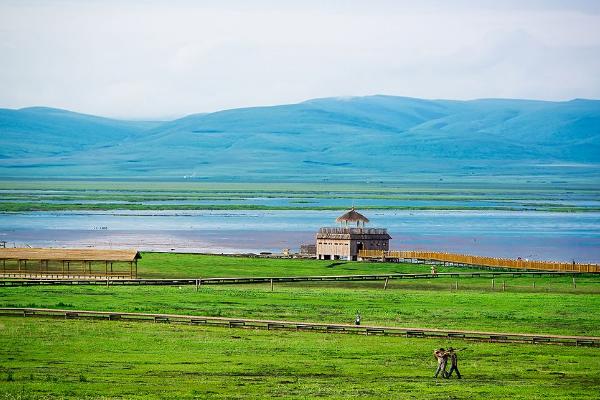 甘肃旅游：藏区是很大的，可是为什么甘南最美，给大家一些攻略