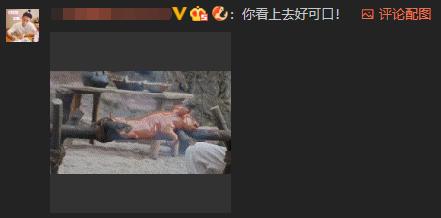 《招摇》颜值当道,最帅的不是许凯,网友都想嫁以一打十的她?
