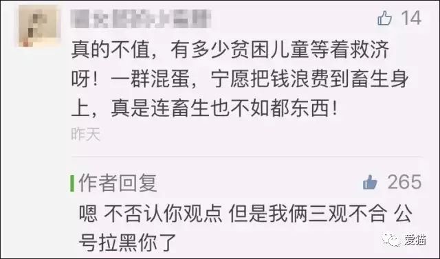 心痛!《中国特色四大养猫悲剧》让我们一起终结吧!
