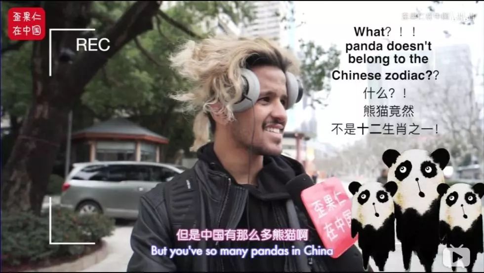 外国小哥：啥？！熊猫竟然不是十二生肖之一？