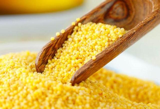 小米虽小,营养却大!黄小米有6大功效,如何挑选优质黄小米?