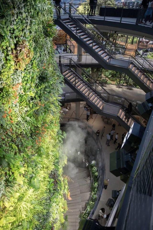 狂砸250多亿！亚马逊花7年时间，造了一个让人自愿加班的办公室