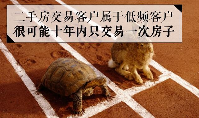 爱屋吉屋：全世界“最快”独角兽之死