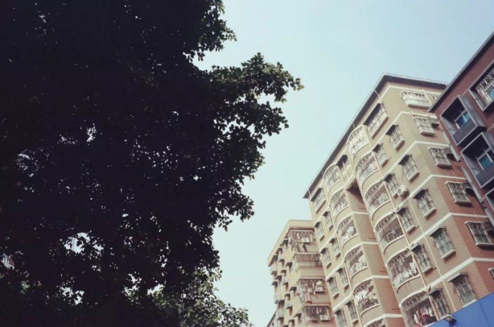 合租半年,室友成了我的房东太太 | 深圳房东合租故事__凤凰网