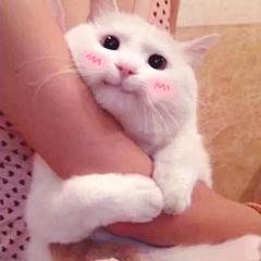 歌唱家秘籍:美声咽音唱歌喊嗓法练习方法详细教学!(快收藏)